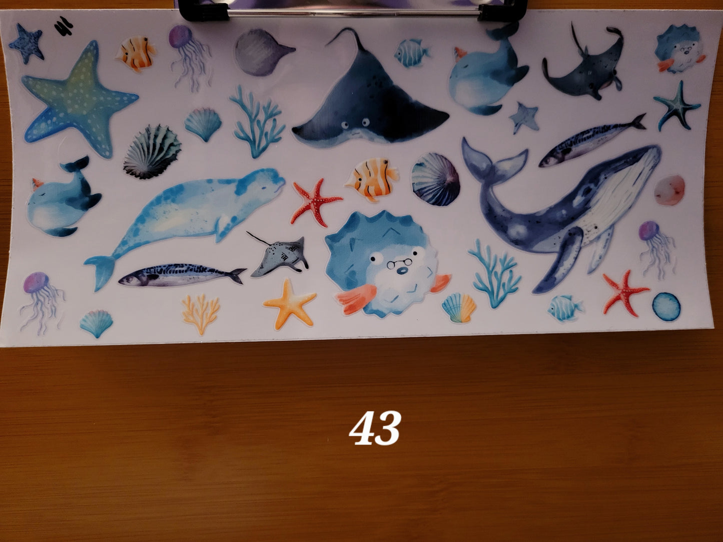 Decals